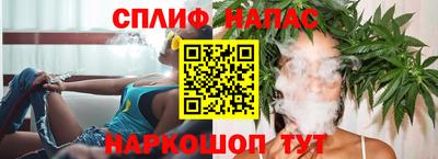 spice Дубна